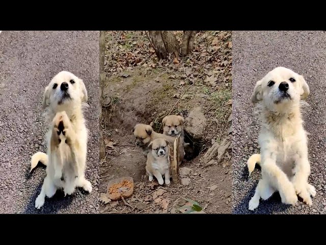 She was begging passersby for food because she just wanted to feed her children