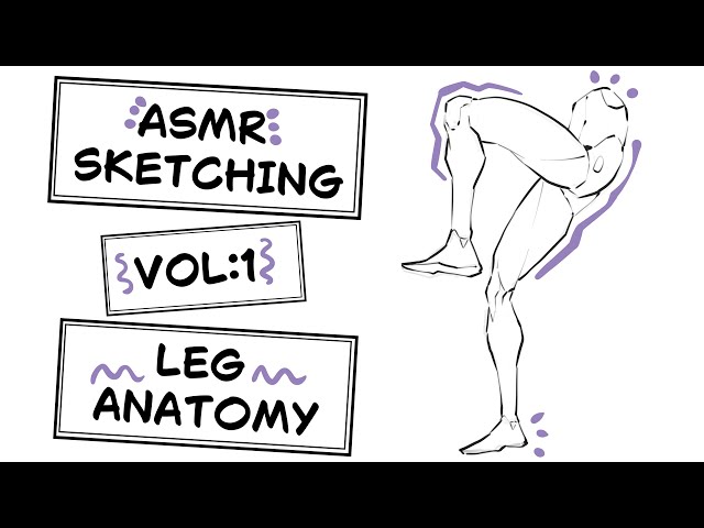 ANATOMY ASMR DRAWING | VOL:1 - LEGS