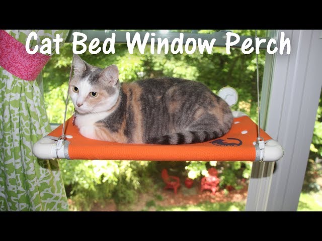 🐱 Purrlala CAT BED SUNNY WINDOW PERCH - Cat Perch Seat Review  👈