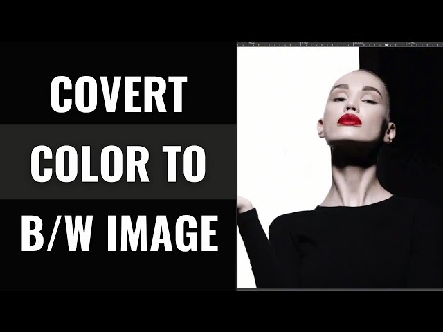 How to Convert Color Image to Black and White in Gimp 2.10