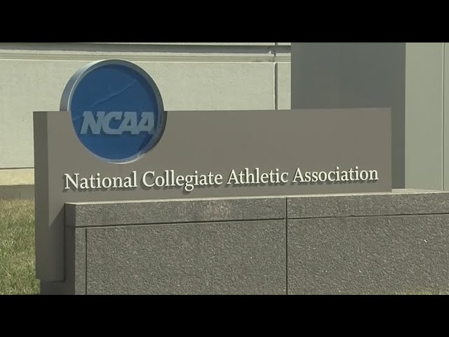 NCAA changes transgender policy to limit women's competition to athletes assigned female at birth