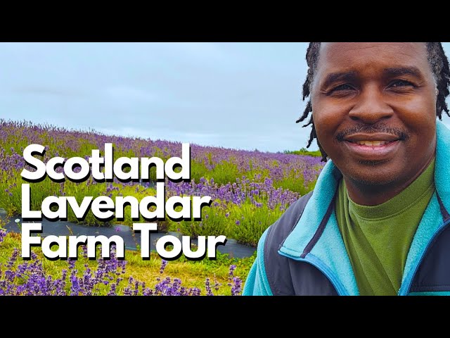 Scotland Lavender Farm Tour