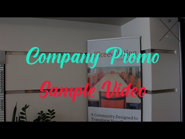 Company Promo Sample