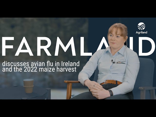 Farmland discusses avian flu in Ireland and the 2022 maize harvest