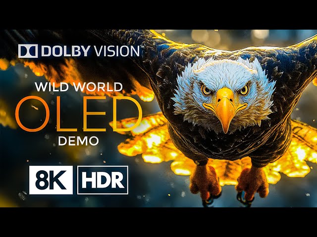 🌟 BEST OLED TEST – Will Blow Your Mind [60fps]