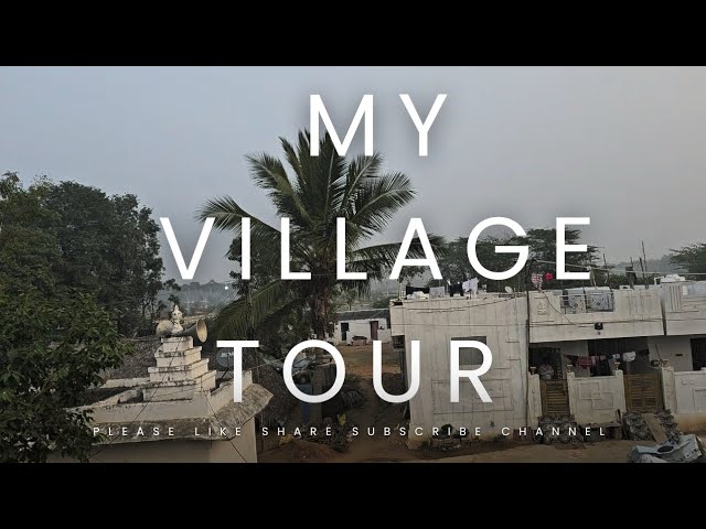 MY VILLAGE TOUR "DWARAPUREDDI PALEM" Vizianagaram district !#viralvideo #minivlog #villagelife #tour