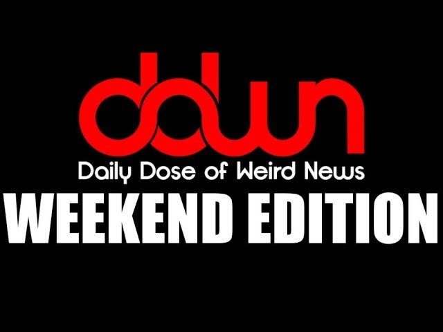 Daily Dose of Weird News WEEKEND EDITION! (August 20, 2017)