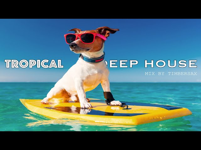 Best new tropical house tracks for summer 2024  | DJ SET | LOUNGE | CHILL OUT MIX