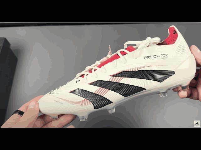 adidas Predator Elite AG Champagne - Off White/Core Black/Pure Ruby