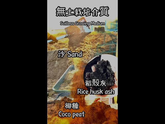 Fertigation Growing Medium and Polybag Bagging Process 椰糠 Coco Peat 稻殼灰 Rice Husk Ash 沙 Sand