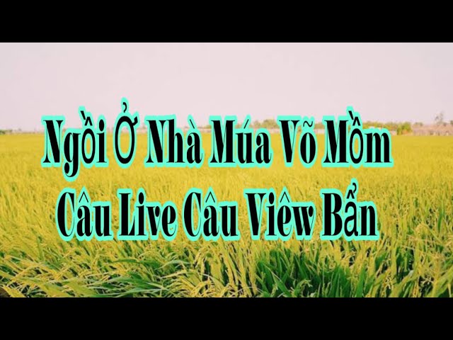 Tâm 767 ngồi ở nhà múa võ mồm nói sai sự thật