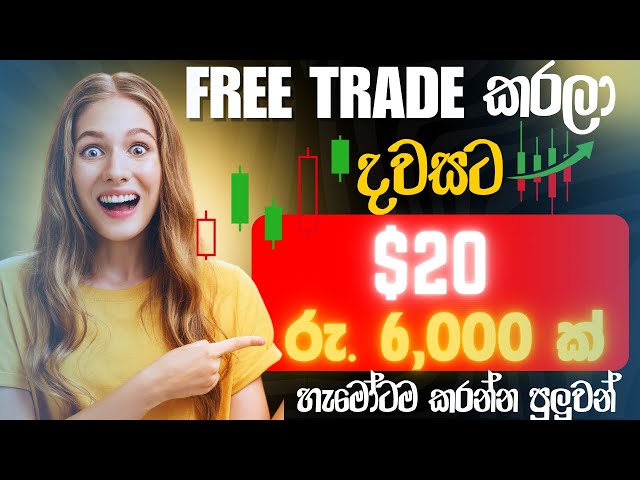 Free trade කරලා දවසට $20 ක් 😍 | free trading sinhala |  betcasn sinhala