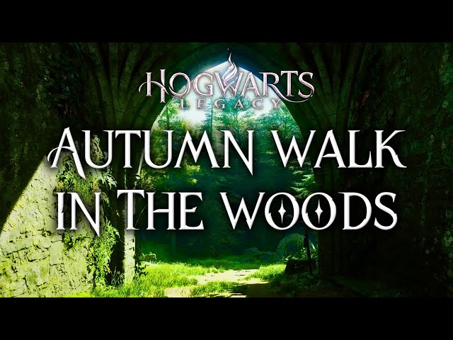 First-Person Autumn Walk In The Woods | Harry Potter 4K Music & Ambience | Hogwarts Legacy