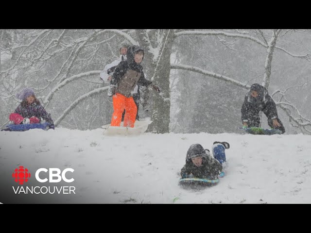 Vancouver Island digs out from under winter snow