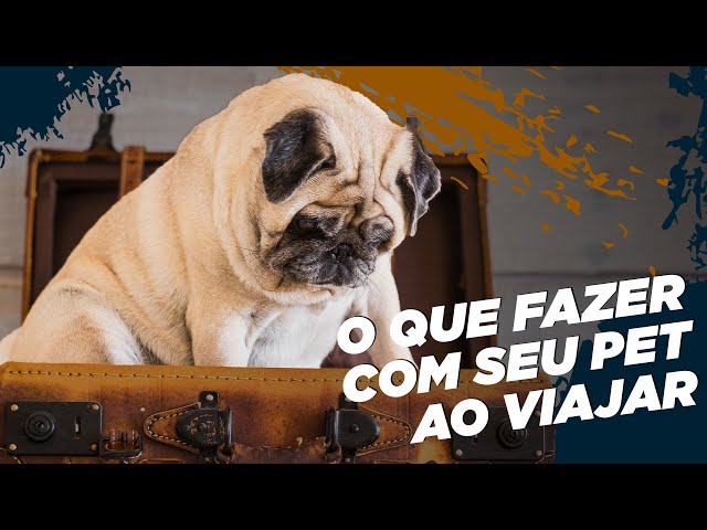 VAI VIAJAR E NÃO SABE O QUE FAZER COM SEU ANIMAL? Então assista esse vídeo