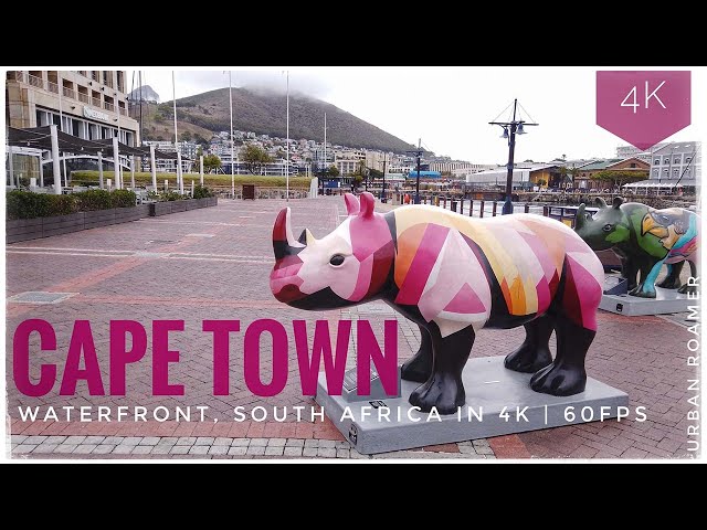 Cape Town, Waterfront Walking Tour in Spring 2023, South Africa 4K | 60FPS