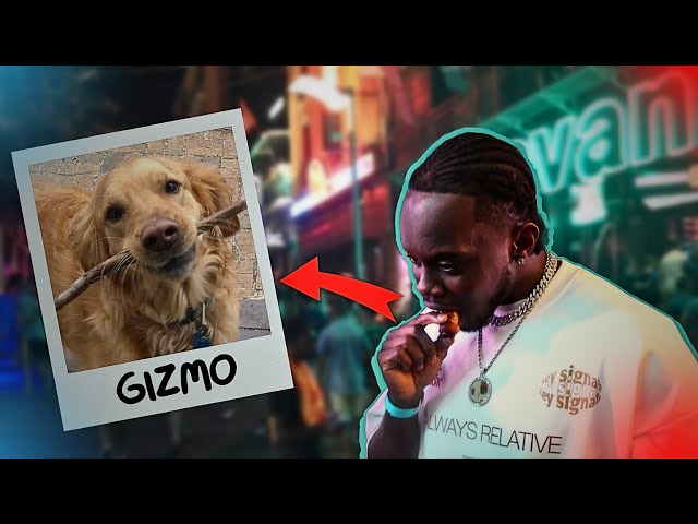 Feeding People Dog Meat Prank