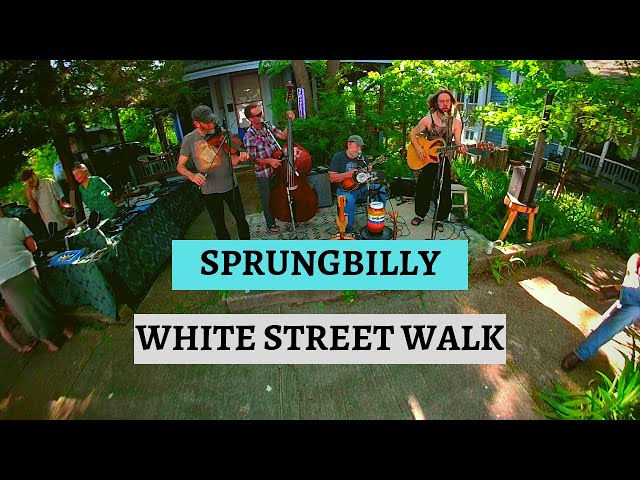 VR 360 Sprungbilly White Street Walk 2019