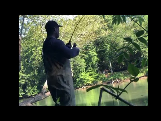 Rainbow & Brown Trout Fishing with Power Eggs