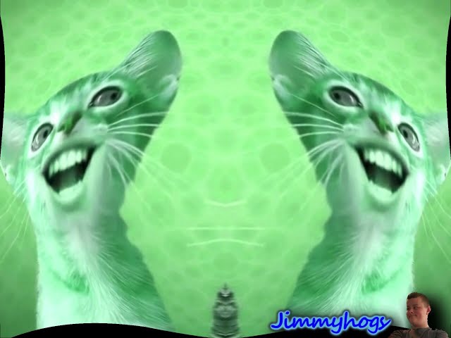 Preview 2 Numa Cat With 6 Effects Exo^4