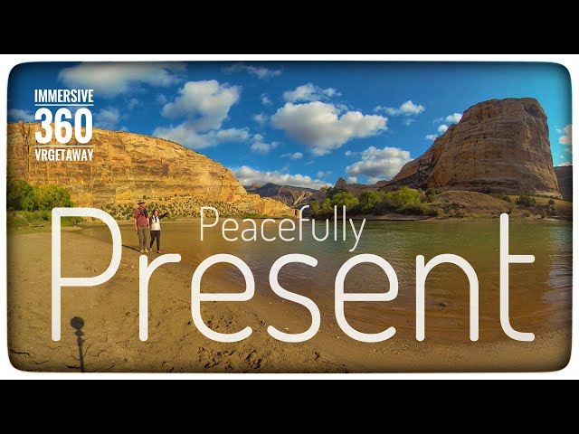 Peacefully Present✌️‍♀️✌️ Find Inner Peace: An Inspirational VR Poem in Nature (360° Video)