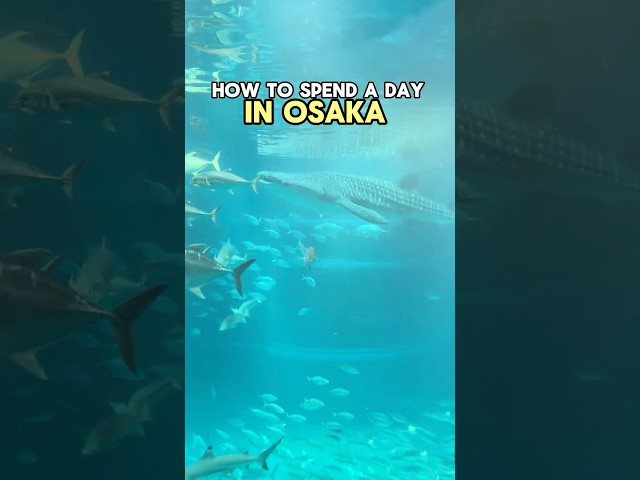 How to spend a day in Osaka