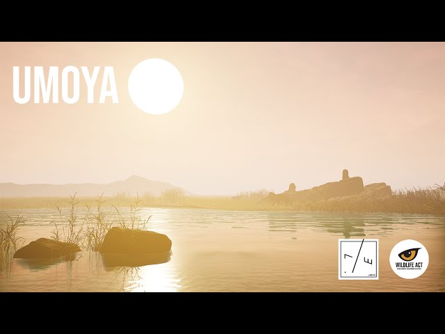 Lumin./Essence x Wildlife ACT - UMOYA (Audiovisual 360/VR Experience for African Wildlife)