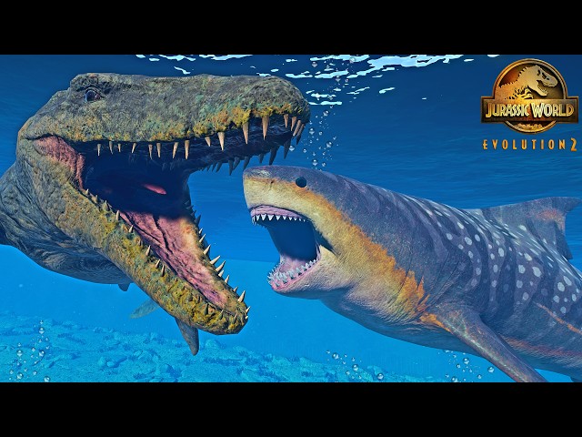 Megalodon vs Mosasaurus! "HUNT & FIGHT" vs ALL Marine Reptiles!