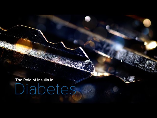 The Difference Between Type 1 & Type 2 Diabetes in Kids - Yale Medicine Explains