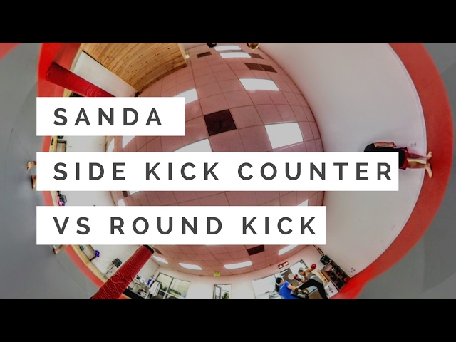 Sanda Sidekick Counter Against Roundhouse 360° Video