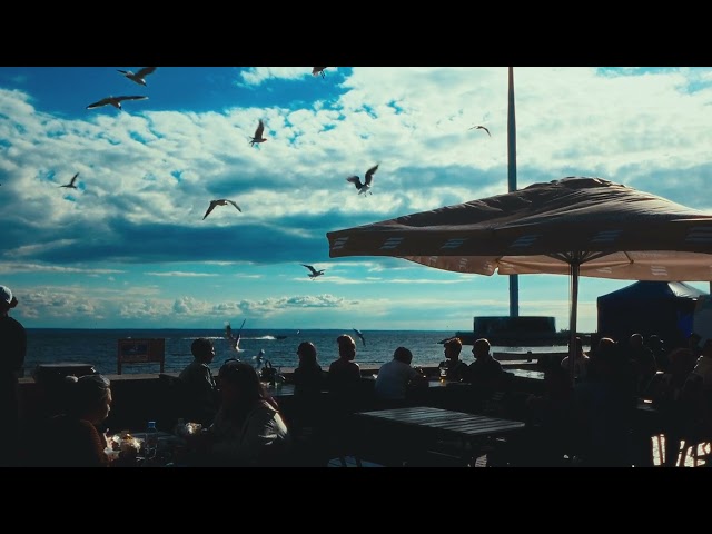 №7 Clouds, sea, seagulls, slow motion | 4K | 25FPS | Free 4K Videos  | Free Footage | No Copyright