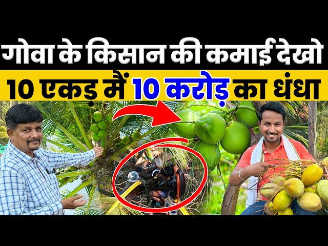 खेती से पैसा बनाना सीखो💯🤑350 एकड़ में नारियल की खेती😱करोड़ों का Profit🔥Indian Farmer