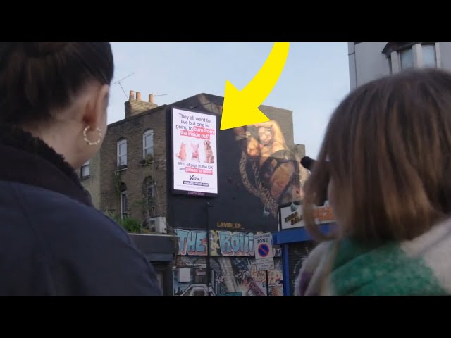 We Put Billboards About Pig Gassing Up Around London - Gasping for Life