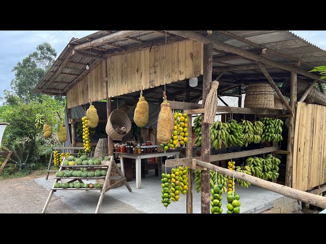 FRUTAS DIRETO DA ROÇA E MUITO MAIS