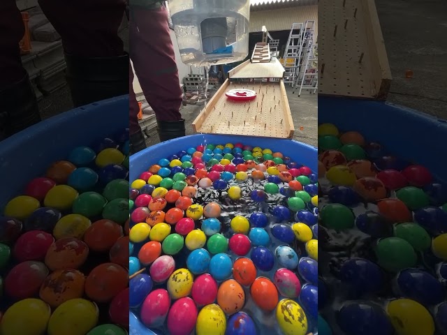 Marble run with the sound of water and colorful balls3