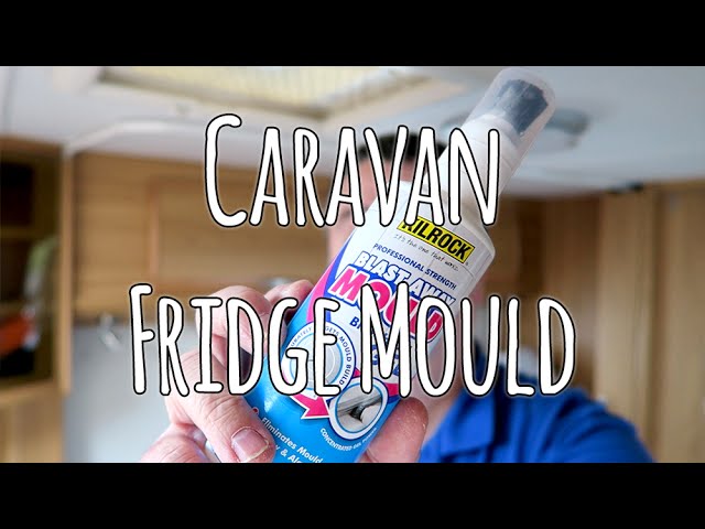 Caravan mould remover from the fridge