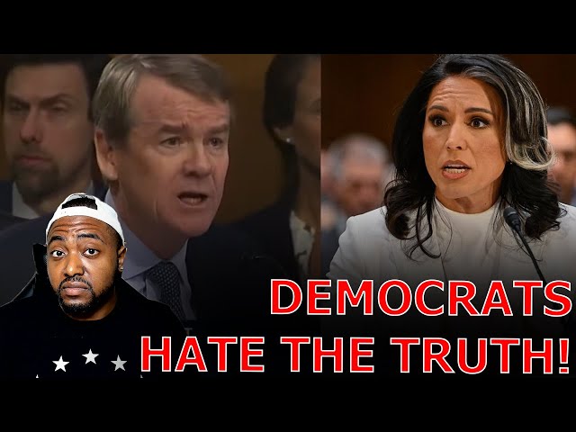 Tulsi Gabbard SCHOOLS UNHINGED Democrats Accusing Her Of Being A Puppet For Putin And Russian Asset!