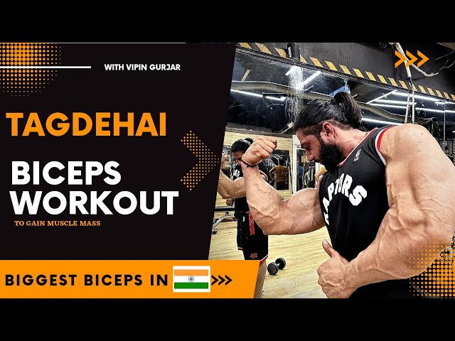 Vipin gurjar|| Best 𝐁𝐢𝐜𝐞𝐩𝐬 💪 workout for beginners || #🆃🅰🅶🅳🅴🅷🅰🅸💪