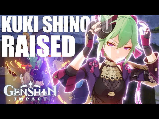 Should Kuki Shinobu Even Exist? (Genshin Impact)