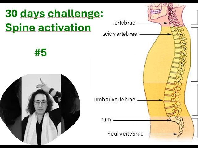 Guided healing meditation: self-healing activation  - SPINE - #5 - 30 Days Health Challenge