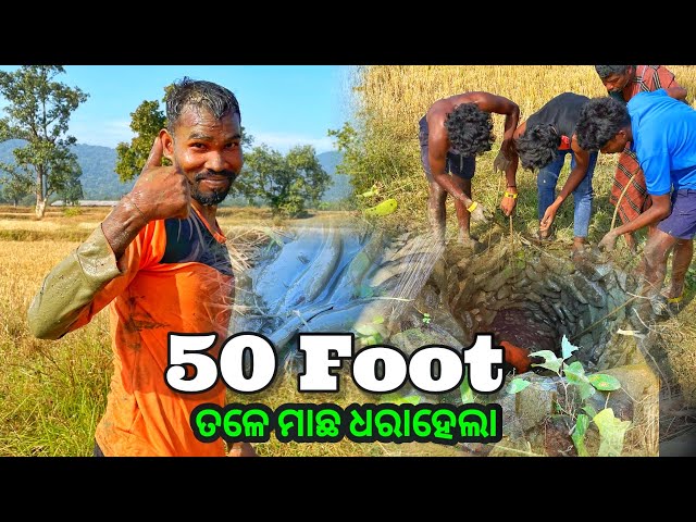 Fishing in well by tribes || ପୁରୁଣା କୁଅ ରୁ କି ମାଛ ଧରିଲୁ || village tribal life