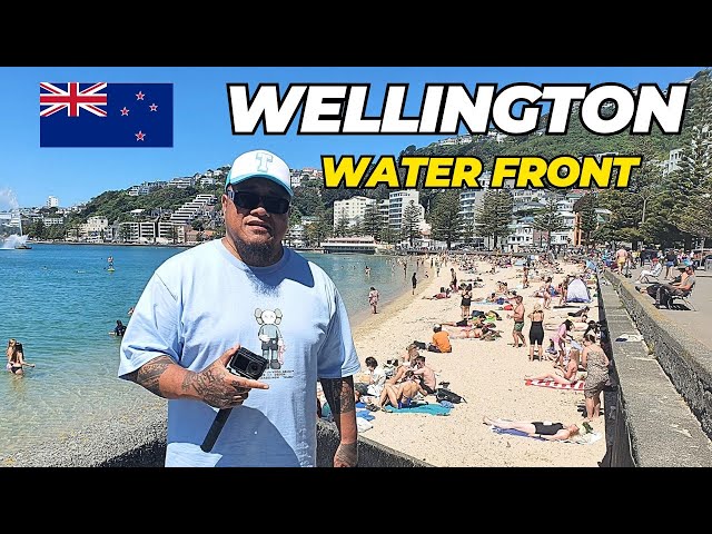 Wellington Waterfront must see! Burger review #wellingtonnz #newzeland #polytube #nzvlog #nzvlogger