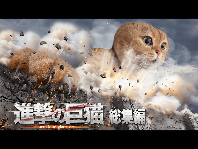 Attack on Cat Omnibus【Catmeme】