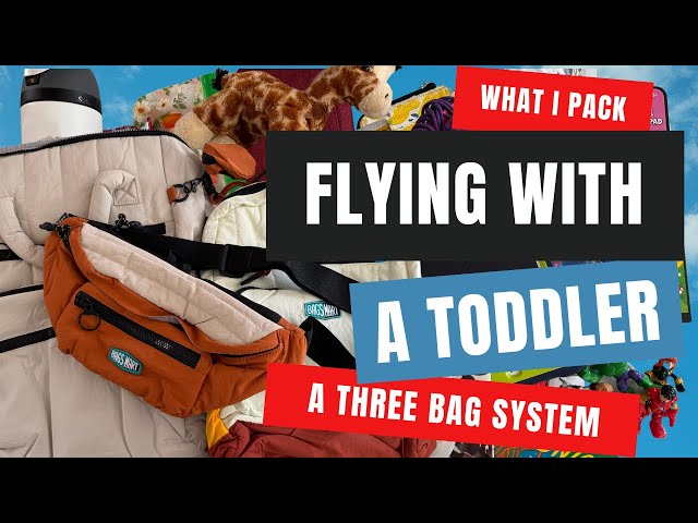 Pack a Personal Item Bag for a Flight with a Toddler and a review of THREE Bagsmart Walker bags