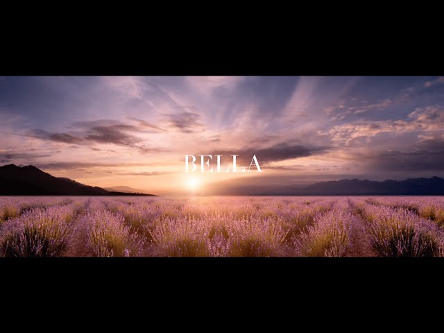 【#360 #VR #mindfulness】Bella┃Music to concentrate on this moment.(Best sleep music) (immersive)