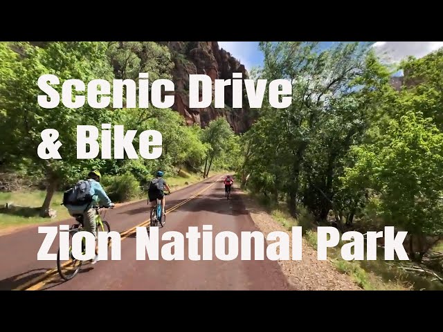 Scenic drive and biking in Zion National Park