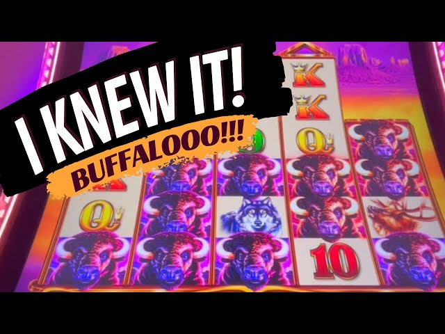 I had a FEELING! Playing to a BONUS Buffalo Ascension Slot Machine 🌬BUFFALO Stampede !!