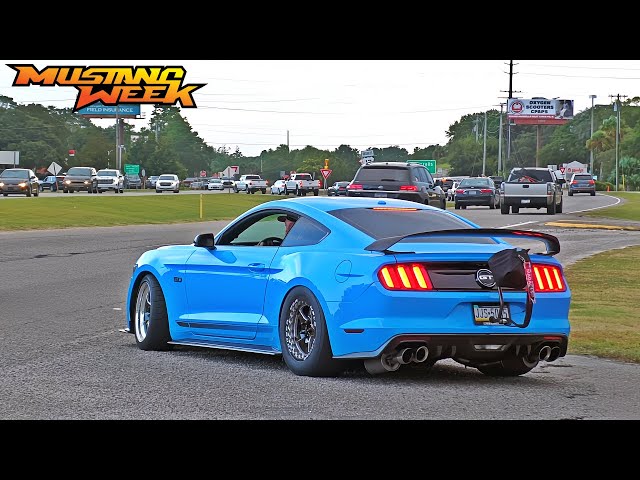 Mustang Week 2024 Stangs & Games Meet Pullouts & Sends!