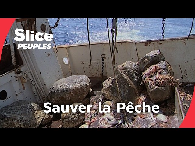 Marins-Pêcheurs : La Lutte Contre la Réforme de la Pêche | SLICE PEUPLES