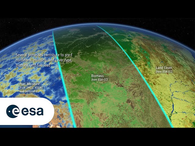 Vegetation fire dynamics from space